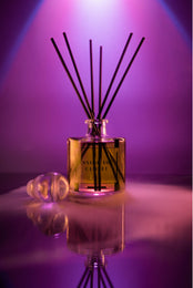 Load image into Gallery viewer, INSIDE THE CLOSET