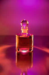 Load image into Gallery viewer, INSIDE THE CLOSET